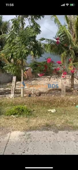 Bán Đất Thổ Cư Cam Ranh 300m² Mặt Tiền Rộng - Sổ Hồng Sẵn Sàng