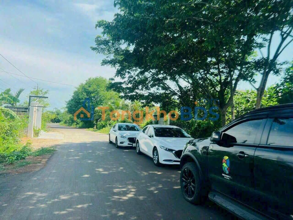 Nhà Vườn 286m² Đất Đỏ BR-VT Tặng Full Nội Thất - 1.99 Tỷ