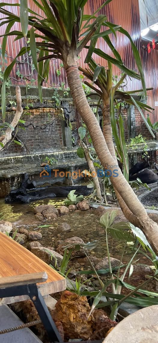 Đất Nền Điện Bàn 310m² - Sổ Đỏ Vuông Vức, Giá F0 3.35 Tỷ