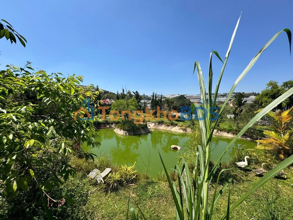 Đất cho thuê Cao Thắng Đà Lạt 3.000m² 6 triệu/tháng - Đường to ô tô