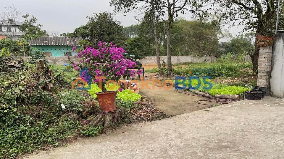 Đất Vườn 900m² Sổ Đỏ Tại Yên Thế, Bắc Giang - Về Quê An Nhiên