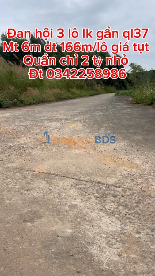 Đất nền Đan Hội Lục Nam 166m² - Sổ đỏ sẵn sàng, đầu tư sinh lời