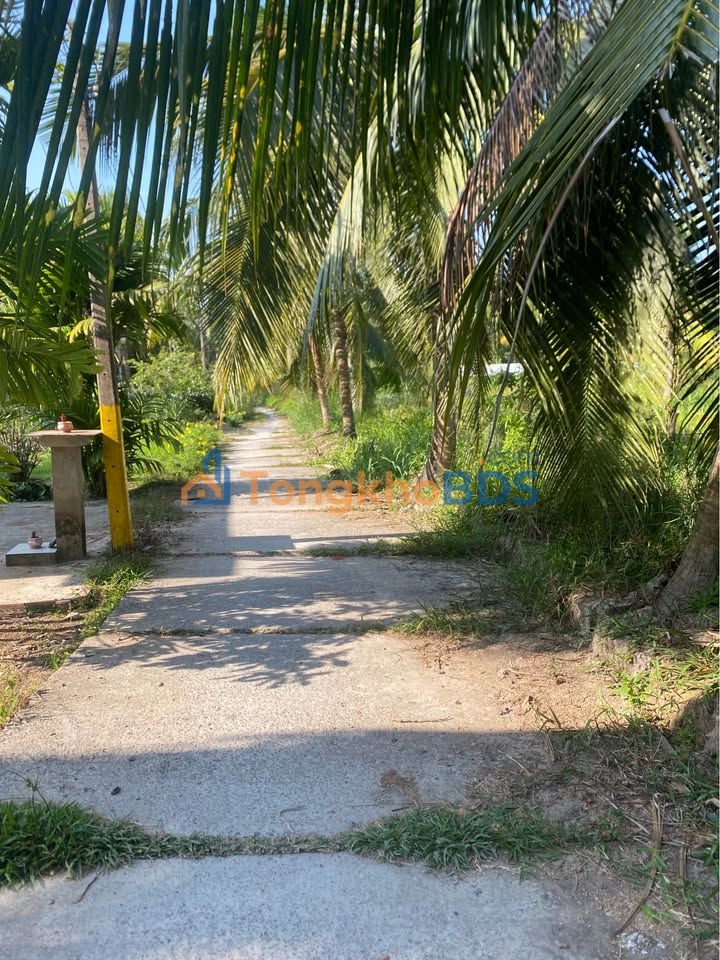 Đất Trà Cú 570m² - Sổ Đỏ Giá Mềm 450 Triệu - Đầu Tư Sinh Lời