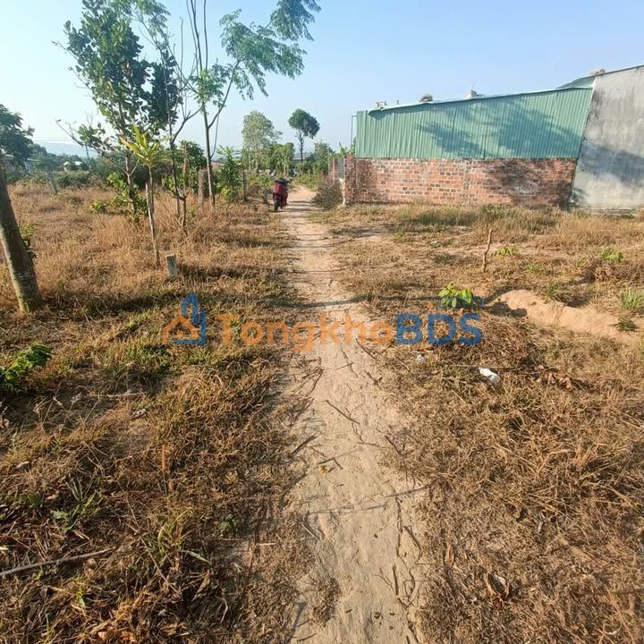 Đất nền Vinh Quang Kon Tum 175m² dưới 100 triệu - Giá tốt hiếm có