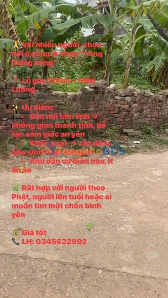 Đất Lô Góc 200m² Sóc Sơn - An Yên Tự Tại, Gần Sân Bay Nội Bài