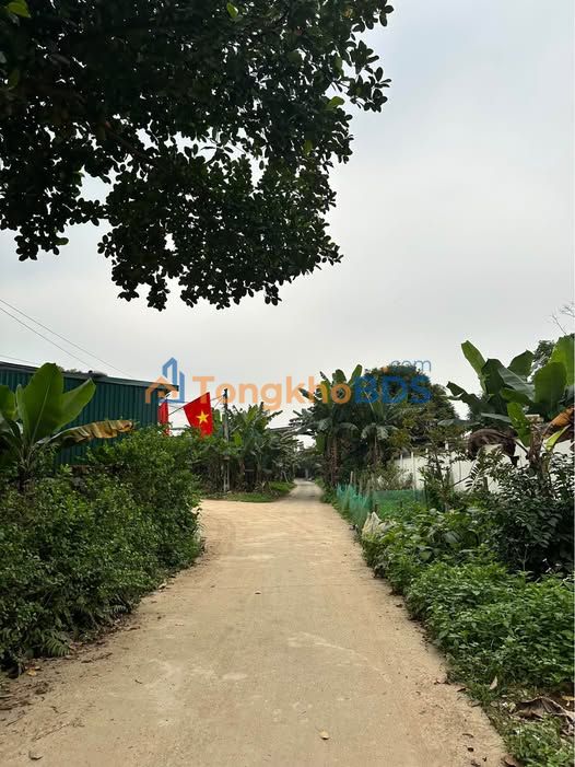 Nhà Chính Chủ 145m² - 700-800 Triệu Tại Trung Môn, Yên Sơn