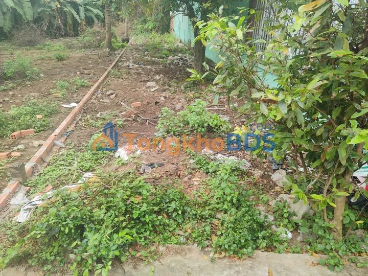 Đất Nền Phú Hưng Bến Tre 132.8m² - Giá Tốt 560 Triệu