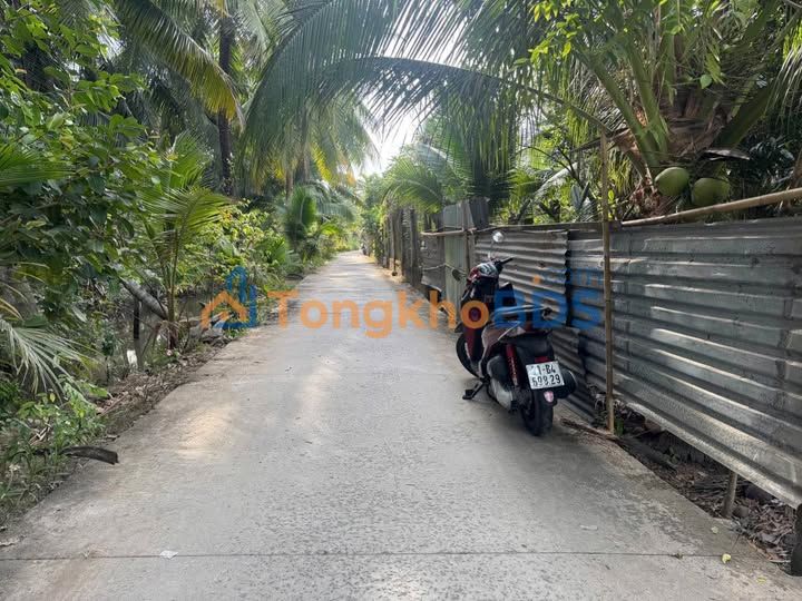 Đất nền Phước Thạnh Bến Tre 1239m² - Sổ đỏ thổ cư, giá 950 triệu