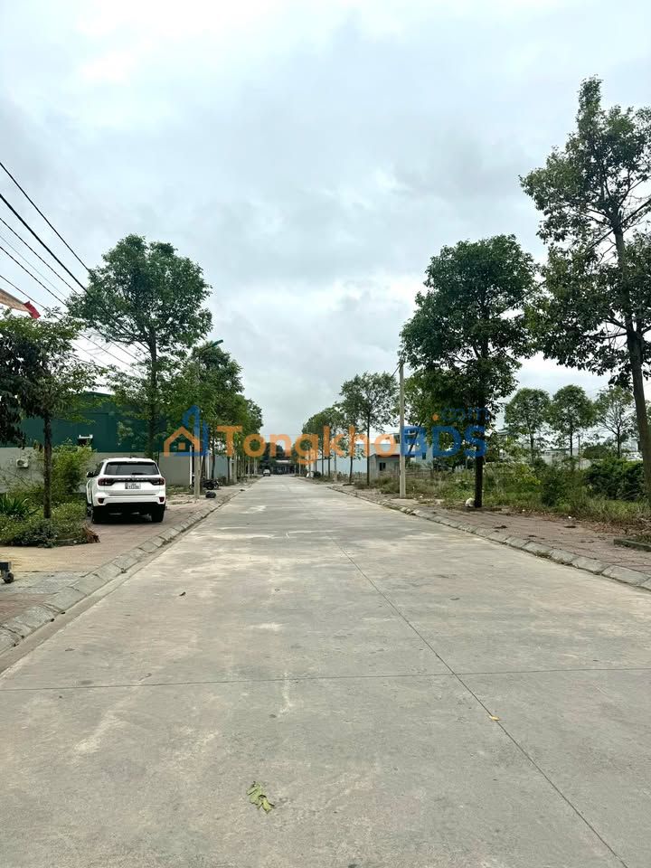 Đất Vàng Thị Trấn Hà Trung - 100m² Trung Tâm, Gần Chợ, Kinh Doanh Sầm Uất