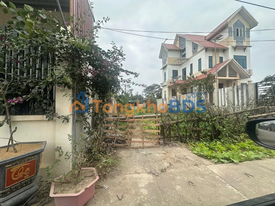 Đất Nền 100m² Mặt Tiền Đường 524 Nga Thủy - Kinh Doanh Sầm Uất