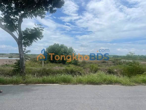 Đất Nền Mặt Tiền Dương Vạn Hạnh, Cần Giuộc - 1501m² Giá 3.8 Tỷ