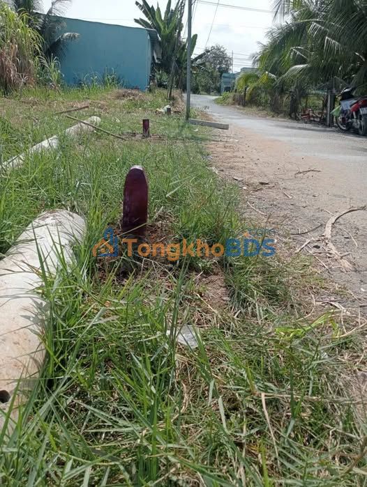 Bán Đất Nền Tân Tập Long An 308m² - Sổ Hồng Sẵn Sàng