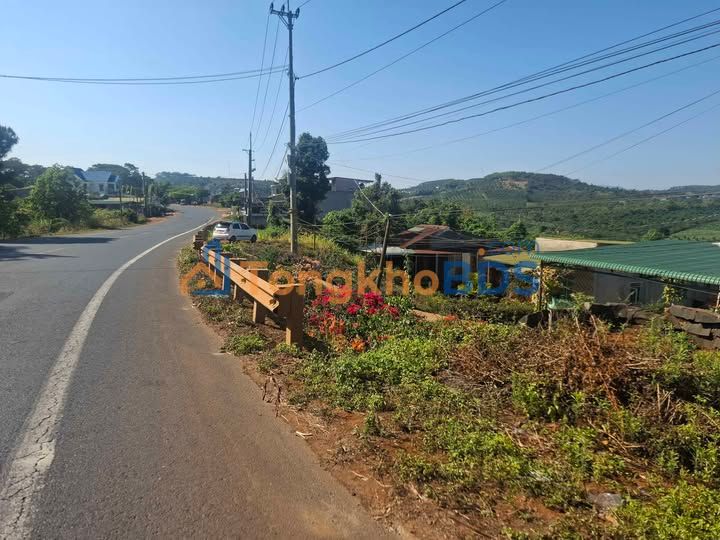 Bán Gấp Farm 17.000m² Quốc lộ 14A, Đắk Nông - Thu Nhập Ổn Định