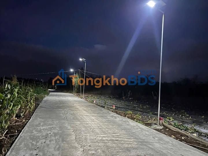 Đất Nền Đức Trọng 800m² - Sổ Sẵn Giá Ngộp 580 Triệu