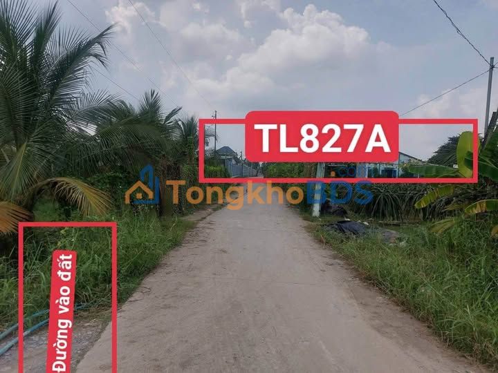 Đất Vĩnh Hựu Gò Công Tây 945m² - Sổ Đỏ Chính Chủ, Giá Đầu Tư 1.15 Tỷ