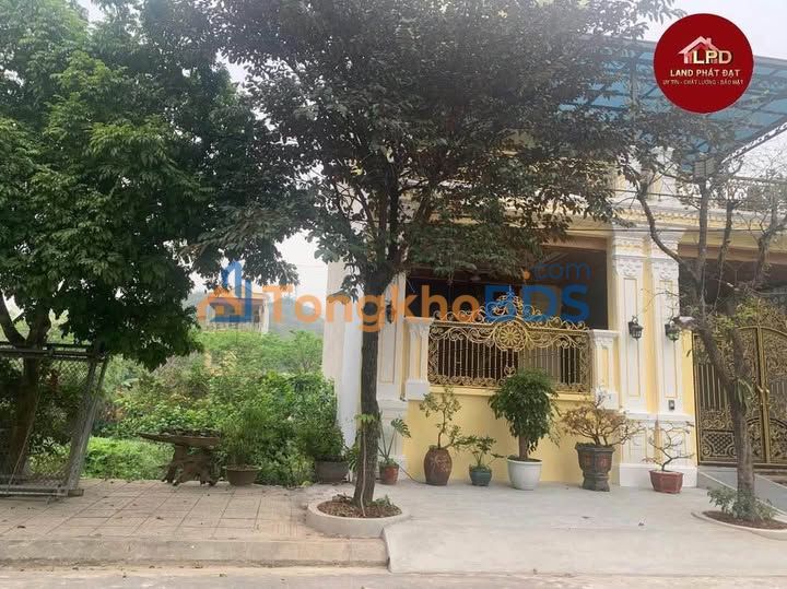 Đất Nền Hoa Lư 80m² Hướng Nam - Sổ Đỏ Sẵn Sàng Đầu Tư