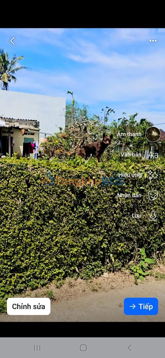 Đất Nền Phước Nghĩa Tuy Phước 85m² - Sổ Đỏ Sẵn Sàng