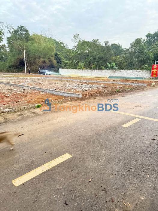Bán đất thổ cư 124m² đường nhựa Quỳnh Lưu - Giá chỉ từ 1 tỷ