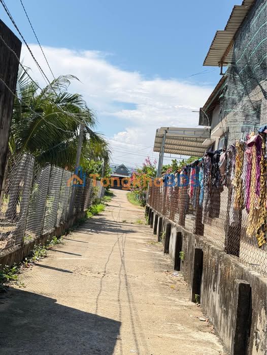 Đất nền Phù Mỹ 1200m² - 2 Mặt Tiền Bê Tông, Sổ Đỏ Rõ Ràng