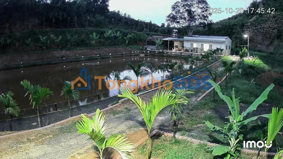 Bán Gấp Đất Rẫy Đăk Nông 36000m² - Kinh Doanh & Sinh Lời