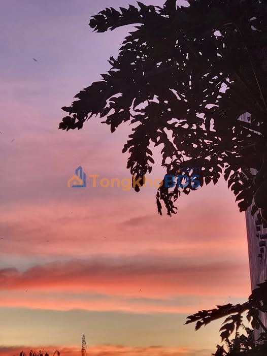 Đất Vàng Mặt Tiền Mạc Thị Bưởi, Đăk Đoa, Gia Lai - 600m² Giá 30 Tỷ