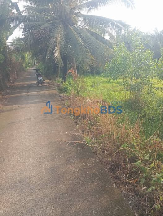 Đất Lúa Mỹ Phú Thủ Thừa 938m² - Sổ Đỏ 1.05 Tỷ - Cơ Hội Đầu Tư Vàng