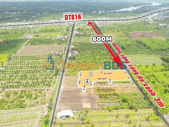 Đất Vườn Bến Lức 1300m² - Sổ Hồng Rõ Ràng, Giá Đầu Tư 960 Triệu