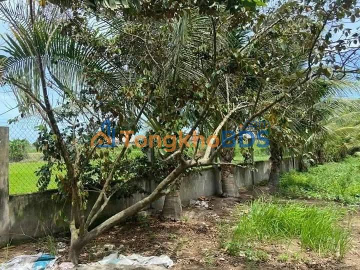 Đất Vườn Long An 1000m² - Giá Tốt 2.3 Tỷ, Sẵn Sổ Hồng, Về Ở Ngay!