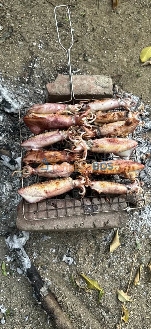 Đất Nền Mặt Tiền Quan Đồng Sâm Nghi Xuân - 150m² Giá Tốt