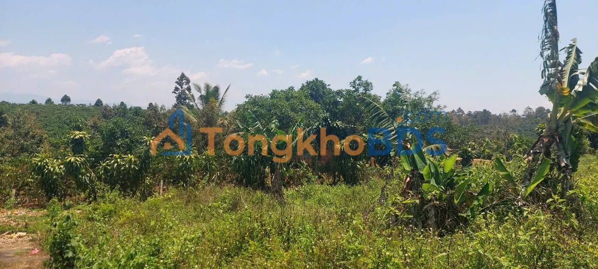 Bán Đất Vườn Lâm Đồng 1820m² - Giá 1.4 Tỷ, Sẵn Nhà Vườn Nghỉ Dưỡng