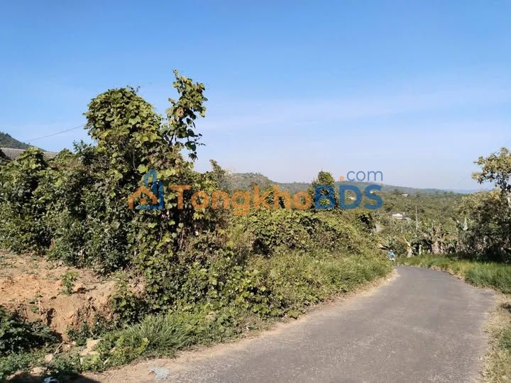 Bán Đất Vườn 8640m² Mặt Tiền Nhựa Lộc Đức, Bảo Lâm - Giá Đầu Tư 1.5 Tỷ