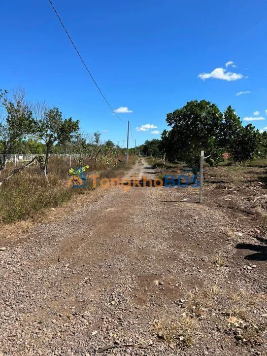 Bán Đất Xuân Lộc Đồng Nai 360m² - Mặt Tiền Mã Vôi