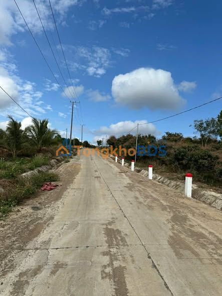 Đất Đắk Mil 1035m² Thổ Cư 100% - Giá 500 Triệu - Sổ Đỏ Sẵn Sàng