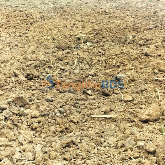 Cho thuê Farm 25.000m² tại Đạ Huoai, Lâm Đồng - Giá 110 Triệu/Năm