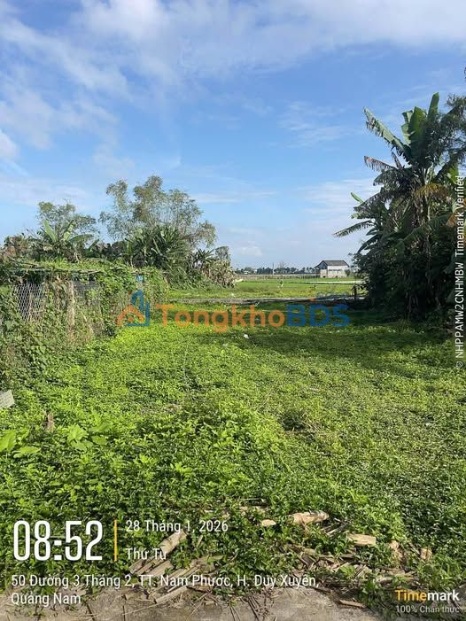 Đất thổ cư Nam Phước 297m² - Sổ hồng sẵn, giá chỉ 1 tỷ