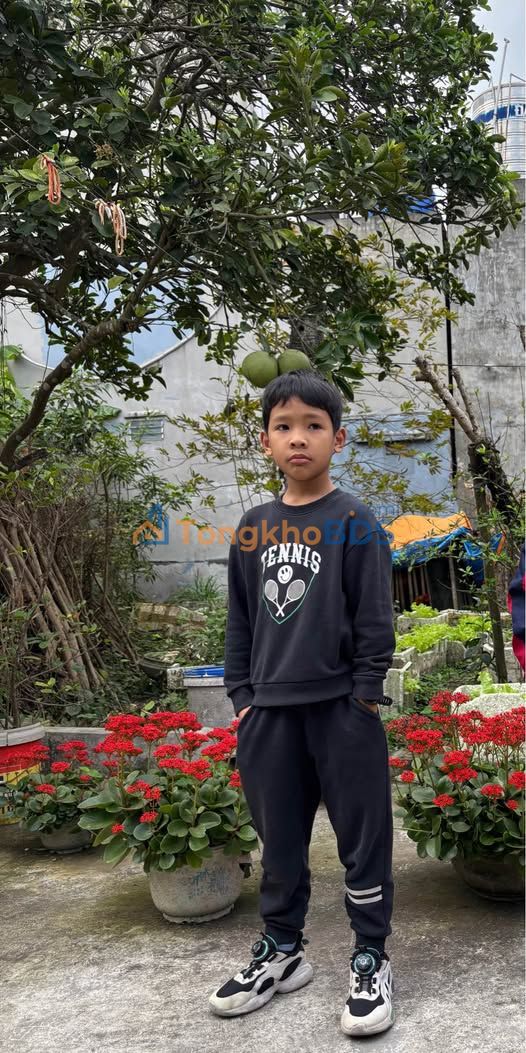 Đất nền 80m² Vũ Chính, Thái Bình - Ngõ ô tô, tiềm năng tăng giá