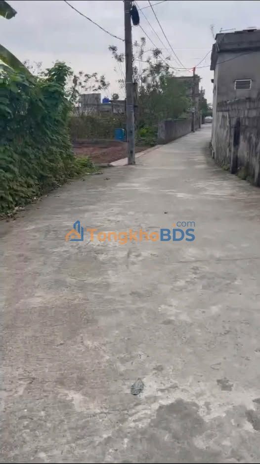 Đất nền Kiến Xương 86m² - Ô tô vào tận đất, giá cắt lỗ