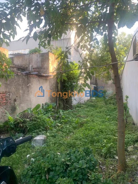 Đất nền Đại Lai-Phú Xuân 84m² hướng Tây Bắc - Giá đầu tư chỉ từ 1.x tỷ