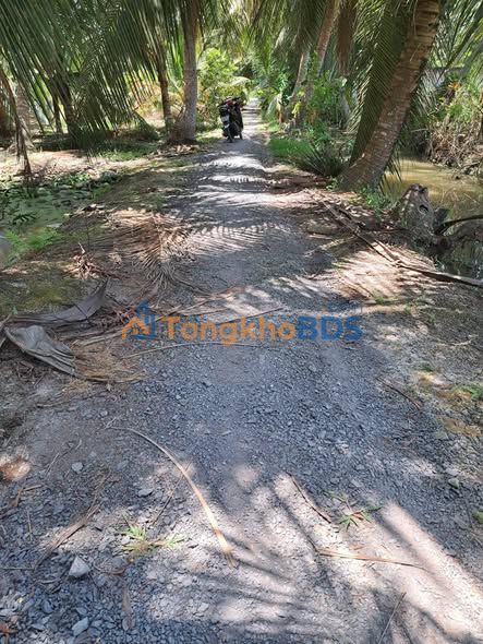 Đất nền Bình Ninh, Chợ Gạo, Tiền Giang - 336m² Giá Tốt, Sổ Sẵn