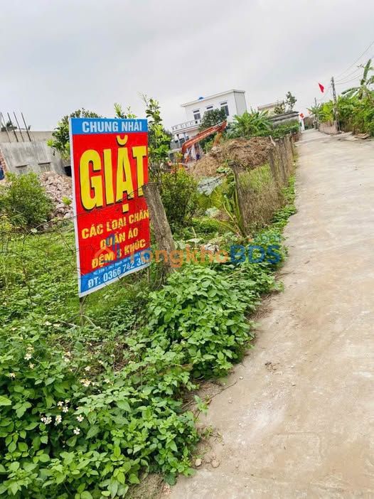 Đất Nền Thái Thụy, Tỉnh Thái Bình – 106m² Sổ Đỏ Sẵn Sàng Đầu Tư