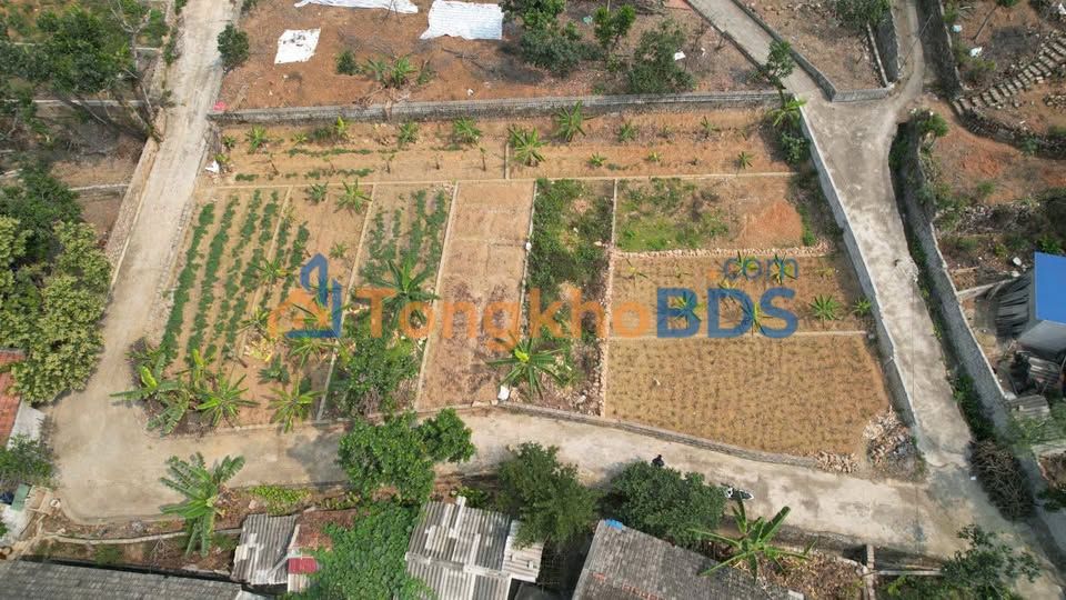 Đất Nền Kỳ Sơn - Thuỷ Nguyên 60.8m² Giá Tốt - Sổ Đỏ Sẵn