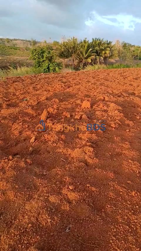 Đất Vườn Đắk Lắk 1.4ha Mặt Đường Đá Dăm Giá 2.4 Tỷ - Tiềm Năng Sinh Lời Cao