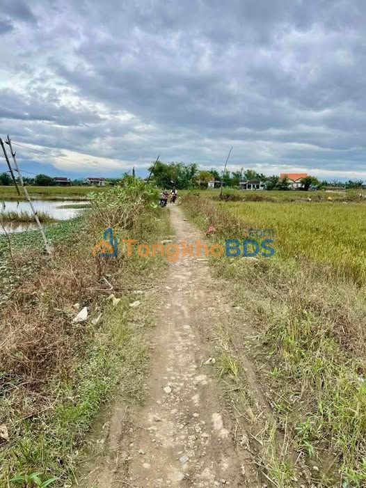 Đất nền Ninh Hà 1.800m² 650tr - Ruộng rộng bám đường