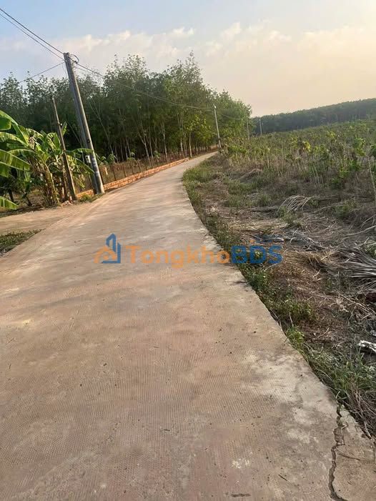 Bán Đất Tiến Hưng, Bình Phước 990m² - Giá Tốt 750 Triệu