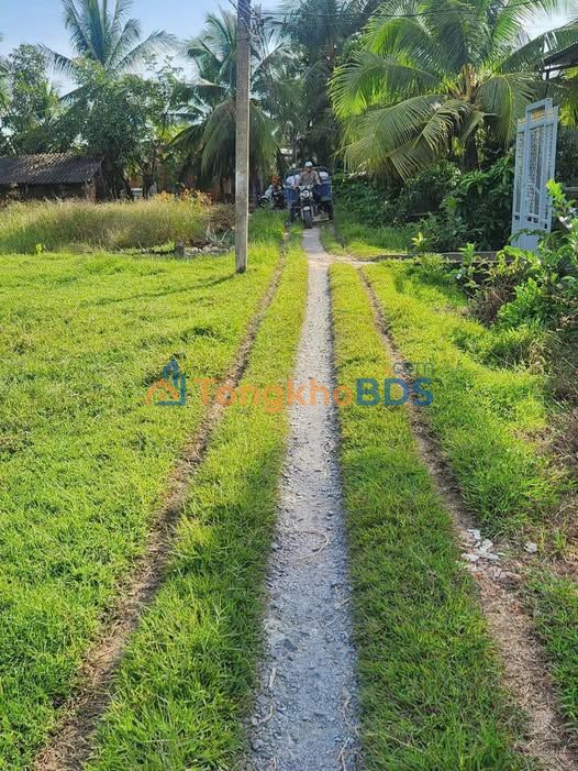 Bán Đất Phường Sơn Đông Bến Tre 149m² - Giá 490 Triệu - Gần Đại Lộ Đồng Khởi