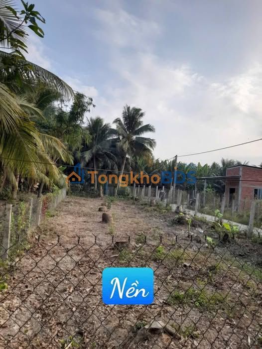 Bán Nền Góc 303m² Thạnh Phú, Tiền Giang - Giá 750 Triệu