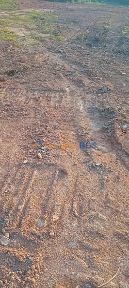 Cho thuê 5 sào đất nông nghiệp tại Đam Rông - Lâm Đồng