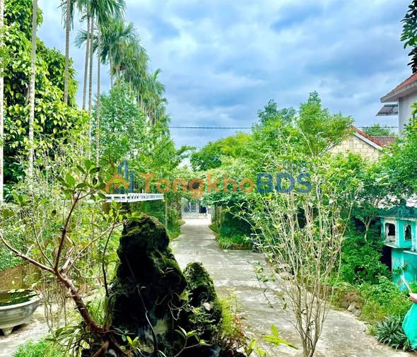 Nhà Vườn Huế 475m² - Kinh Doanh Homestay, View Sông Hương