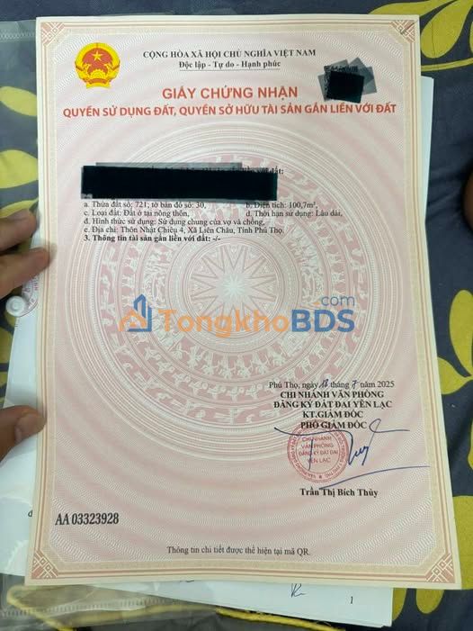 Đất Tái Định Cư Yên Lạc - Sổ Đỏ Riêng 100m² - Giá 3 Tỷ