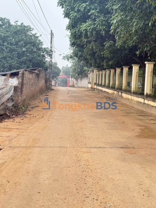 Bán Đất Vàng Sơn Tây 3155m² - Sổ Đỏ, Mặt Tiền Rộng, Lý Tưởng Phân Lô/Nghỉ Dưỡng